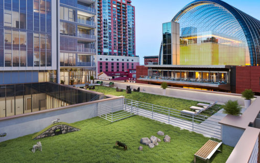Image of arthaus amenities gallery green terrace dog park 1280×805